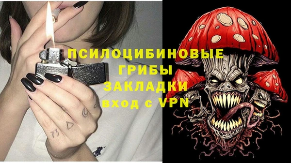 PSILOCYBIN Тавда