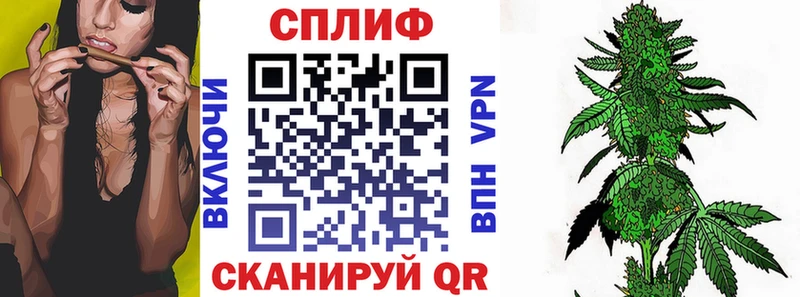 Бошки Шишки ГИДРОПОН Лодейное Поле